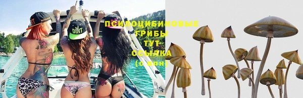 spice Краснотурьинск