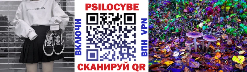 Псилоцибиновые грибы Cubensis  где продают   Алапаевск 